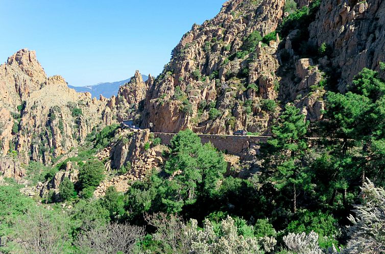 Appartement Residence Cabanaccia Studio 38m²