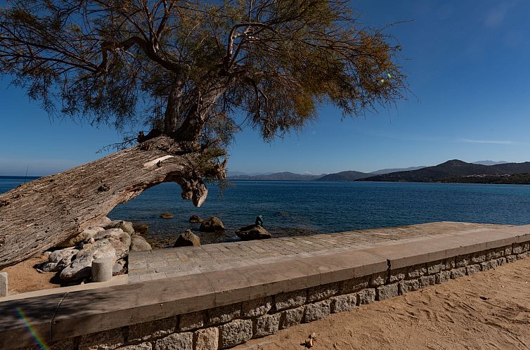 Appartement Club Benista T3