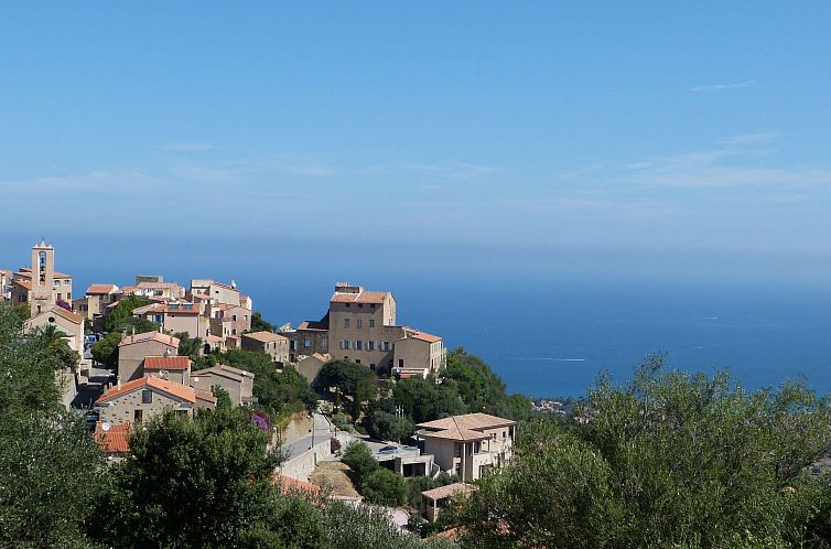 Vakantiehuis 'Vista di Sognu Casa Olivea'