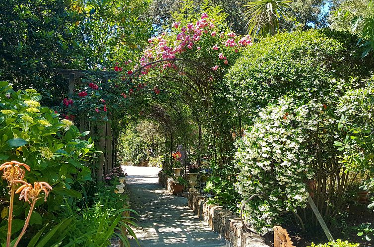 Vakantiehuis Maison studio 80m²