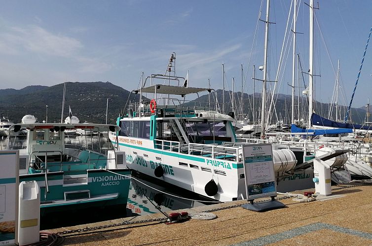 Appartement Corse du Sud 10mn von den Stränden entfernt - O