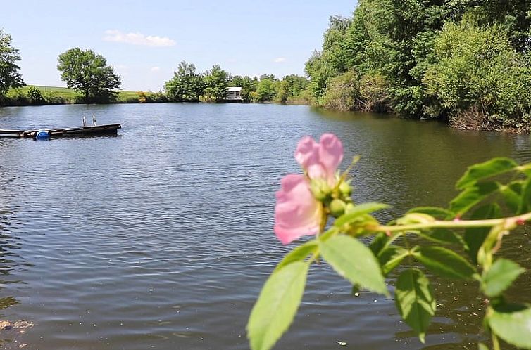 Vakantiehuisje in Champsac