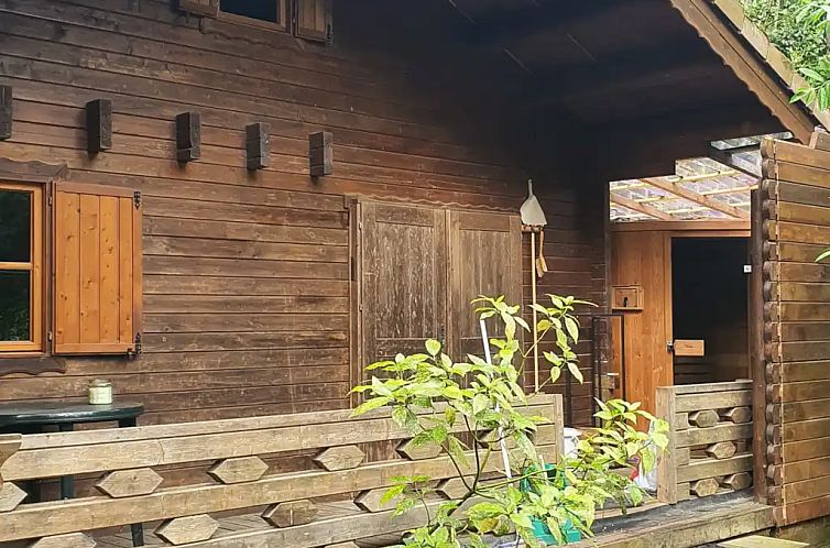 De Boshut