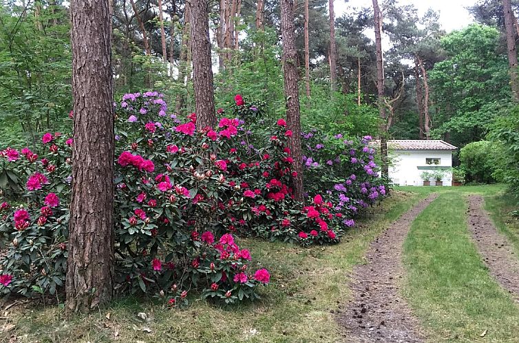 Het Beerenbos