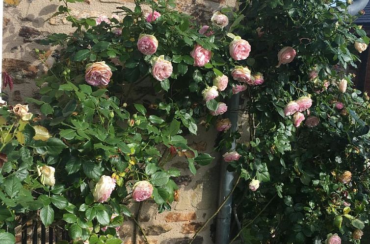 Vakantiehuis Familienhaus