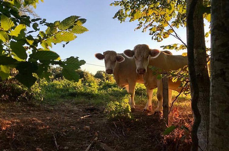 Vakantiehuis in Moutier-Malcard