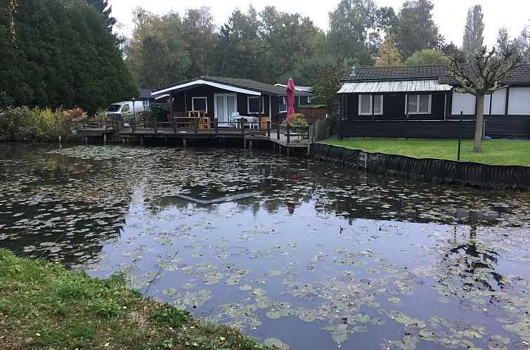 Vijverzicht