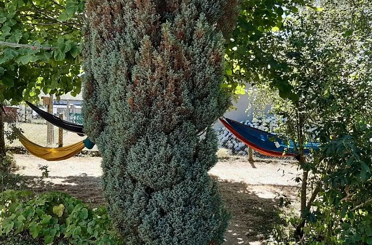 Le Petit Paradis