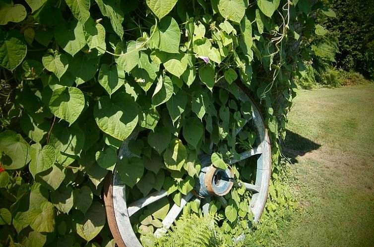 Vakantiehuis in Saint-Bonnet-Elvert