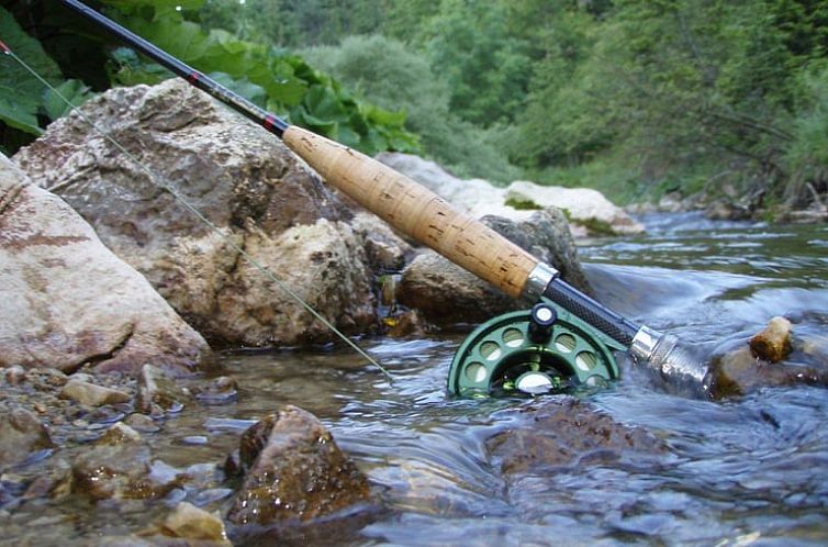 Vakantiehuisje in Saint agnant pres crocq