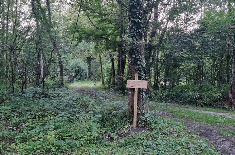 Vakantiehuisje in Coullons