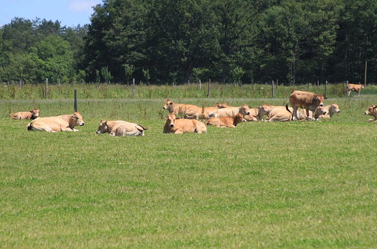 Vakantiehuis in méry-es-bois