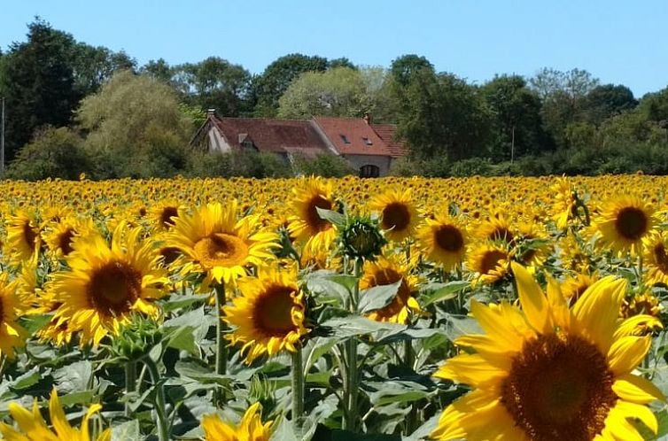 Vakantiehuisje in HERRY