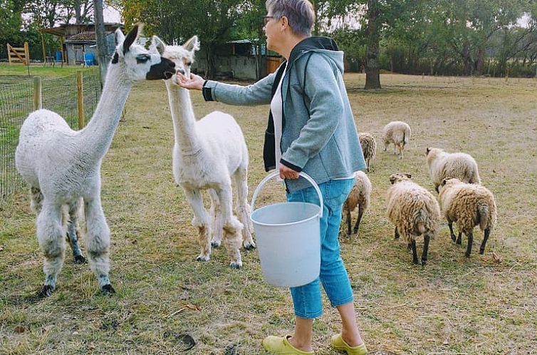 Vakantiehuisje in HERRY