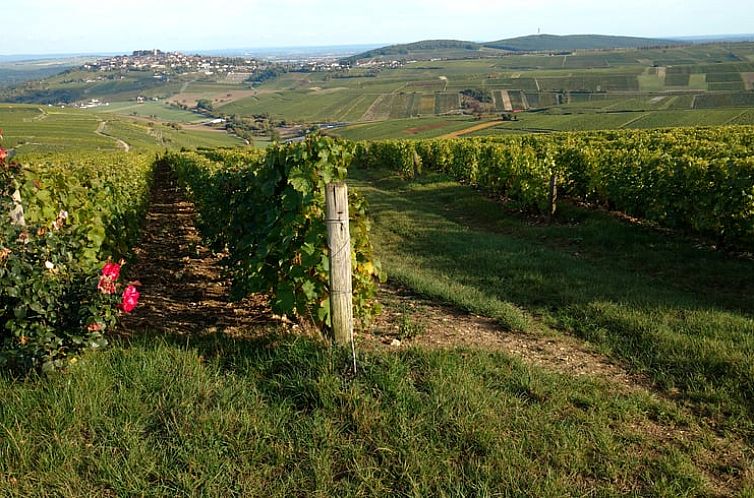 Vakantiehuisje in HERRY