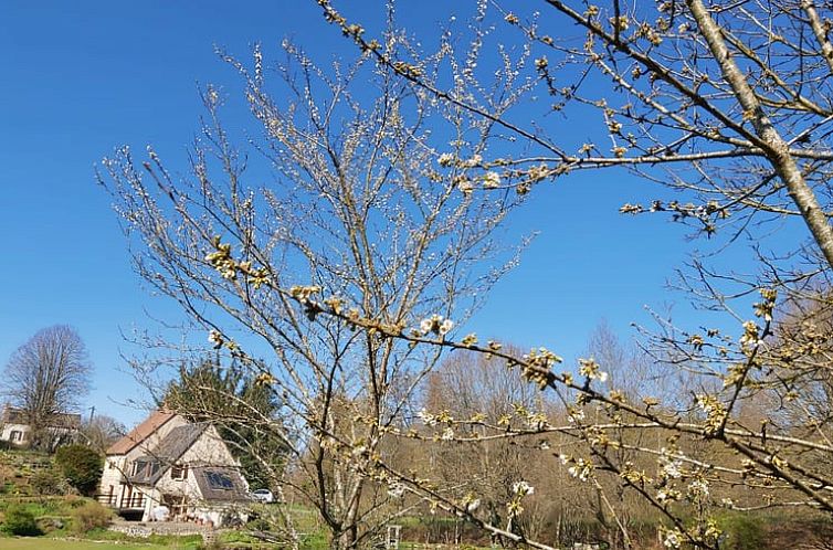 Vakantiehuis in sazeray