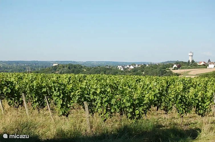 La Ferme - Les Drageonnières