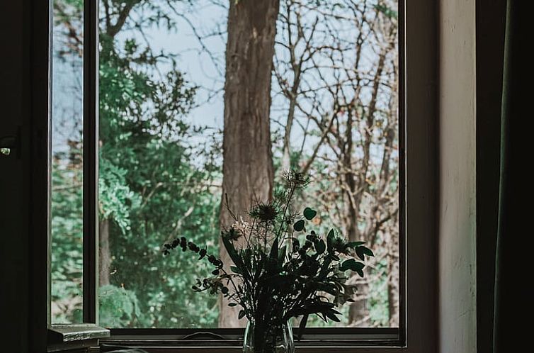 Vakantiehuisje in Limoux