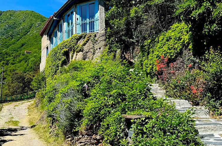 Unterkunft 046141704 - Ferienhaus Languedoc-Roussillon - Maison TiLLEY