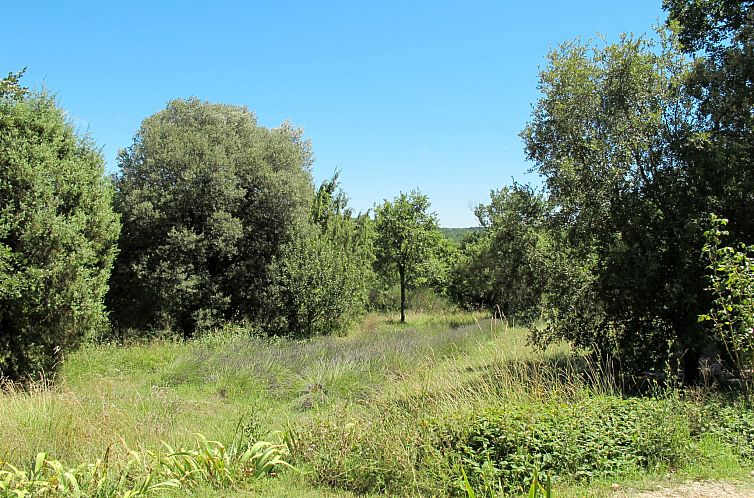 Vakantiehuis Le Moulin de Verfeuil