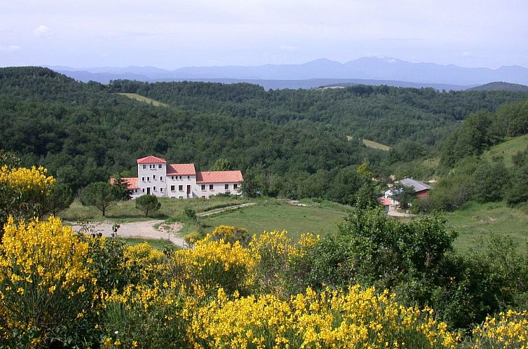 Vakantiehuis Ruhig gelegenes Ferienhaus, ideal für Bergspor