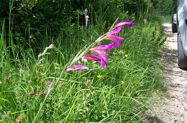 Vakantiehuis Ruhig gelegenes Ferienhaus, ideal für Bergspor