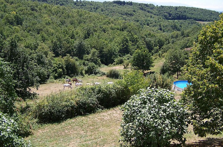 Vakantiehuis Sehr großes Ferienhaus inmitten der Natur