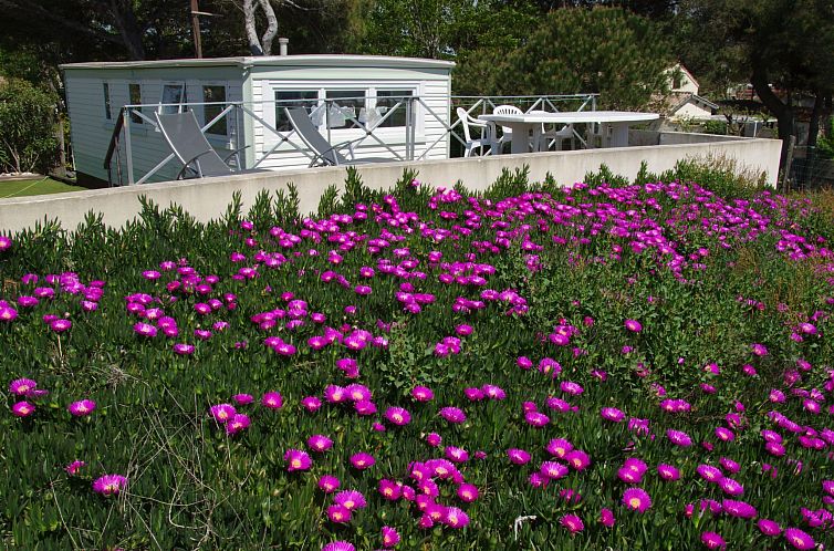 Appartement Mobiles Haus mit Blick auf das Wasser
