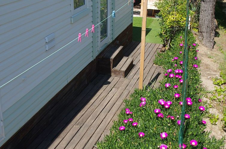 Appartement Mobiles Haus mit Blick auf das Wasser