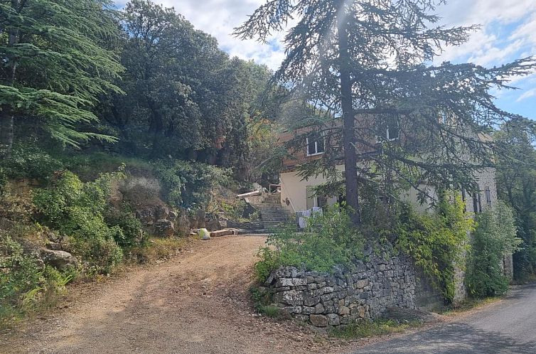 La Roche 12