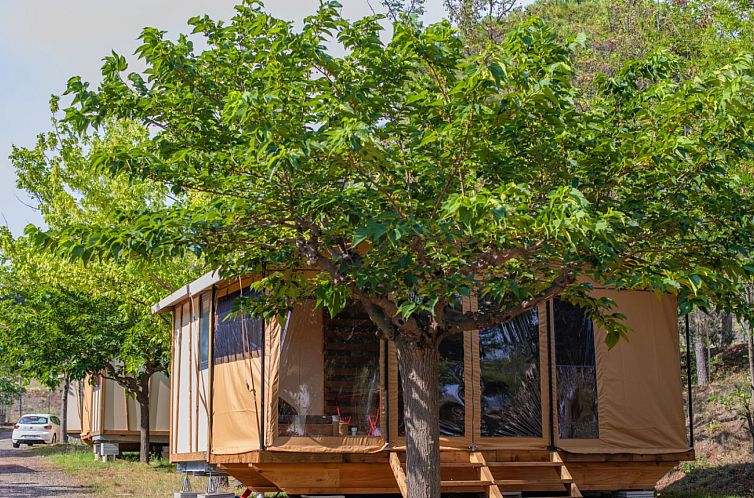 Tiny House Galli