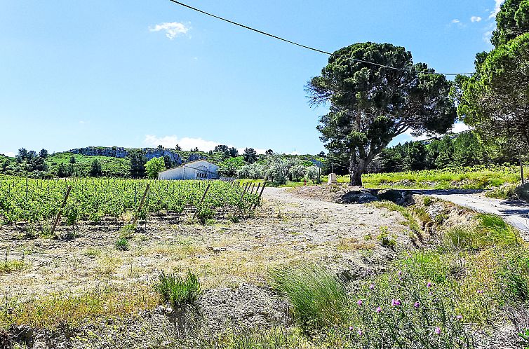 Appartement Les Vendanges
