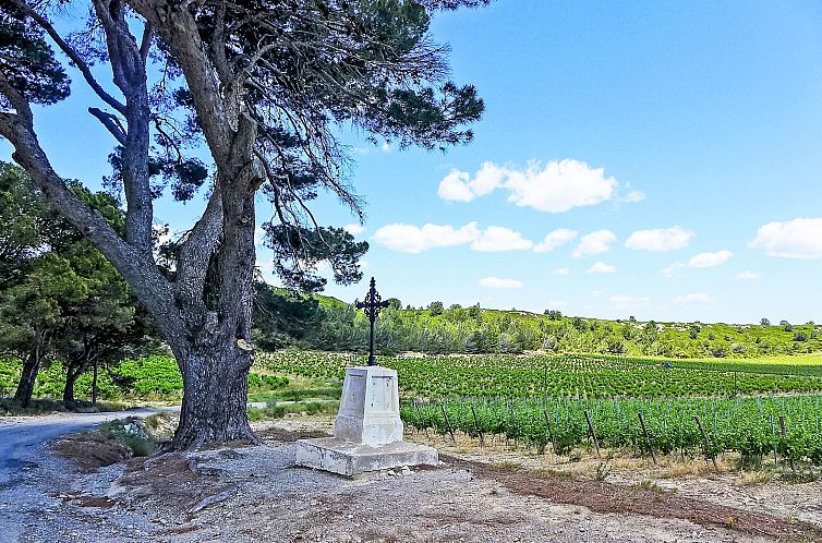 Appartement Les Vendanges