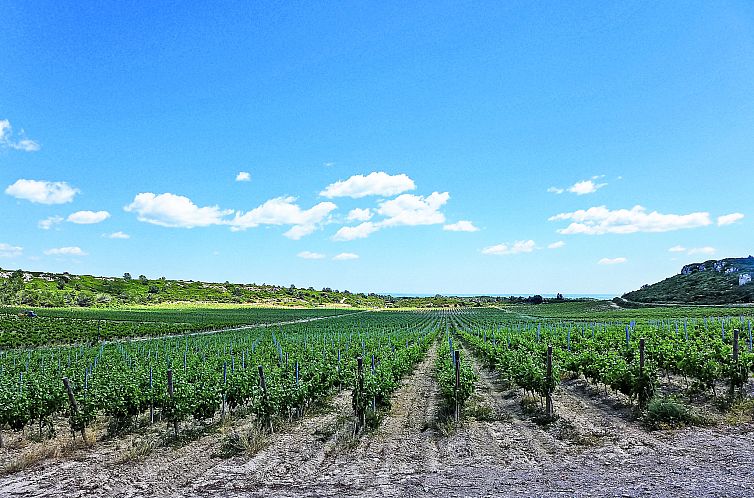 Appartement Les Vendanges