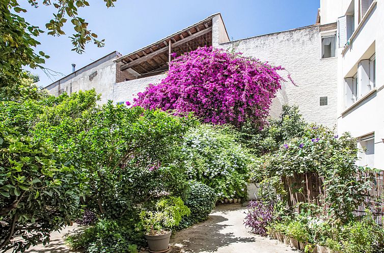 Appartement La petite Réal