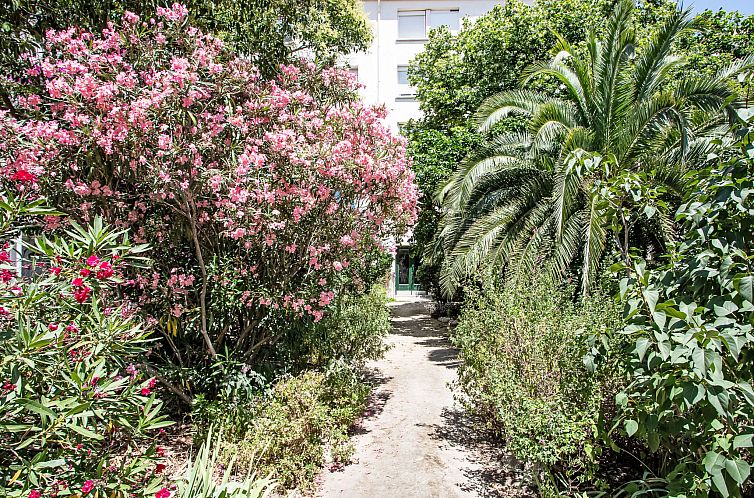 Appartement La petite Réal