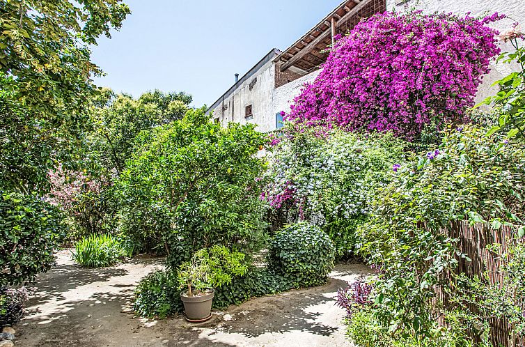 Appartement La petite Réal
