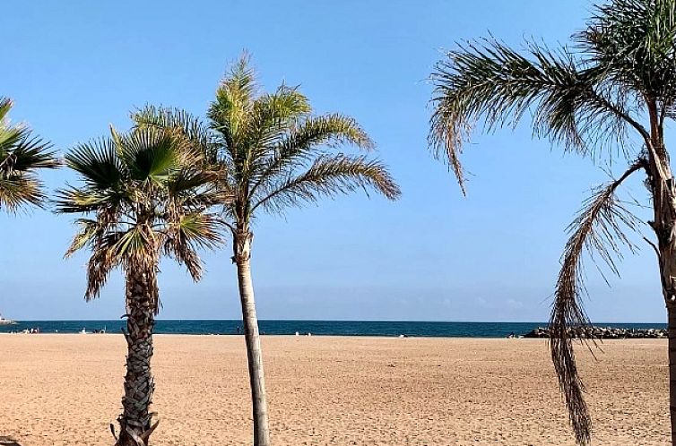 Appartement in Valras Plage