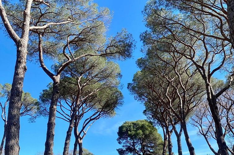 Vakantiehuis Chez Nerthe, 5-Sterne-Haus mit privatem Jacuzzi