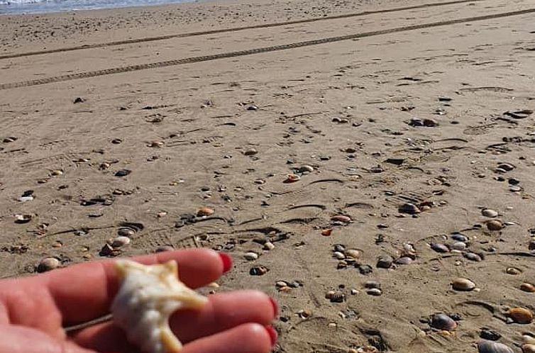 Appartement Mobilheim in idealer Lage in der Nähe aller Ann