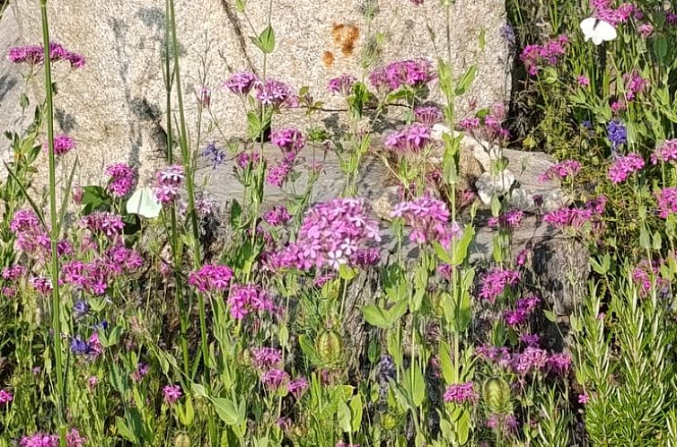 Vakantiehuisje in VERNET LES BAINS