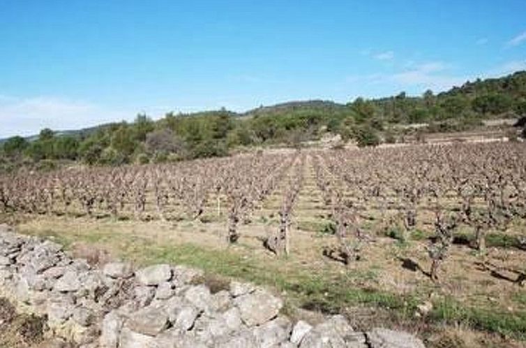 Appartement Die kleine Zikade