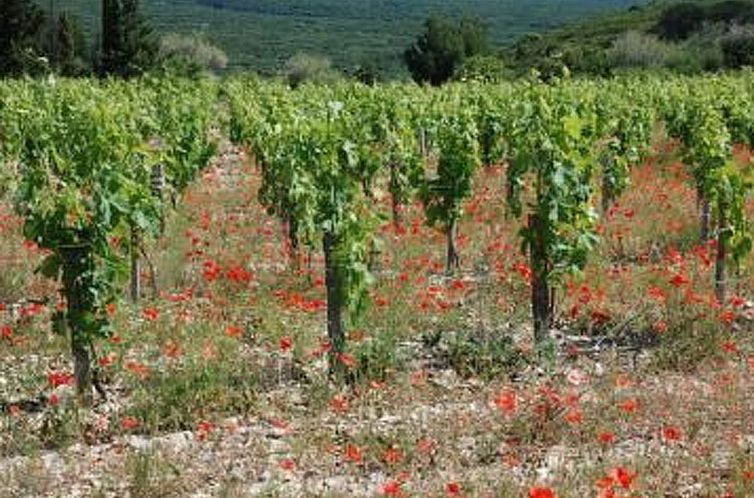 Appartement Die kleine Zikade