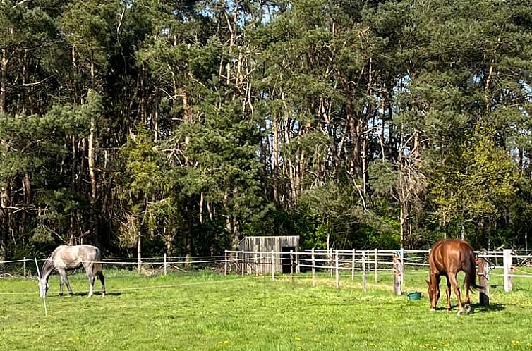 Huisje in Rijkevorsel