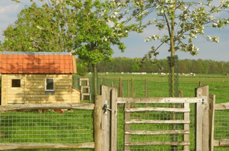 Huisje in Rijkevorsel