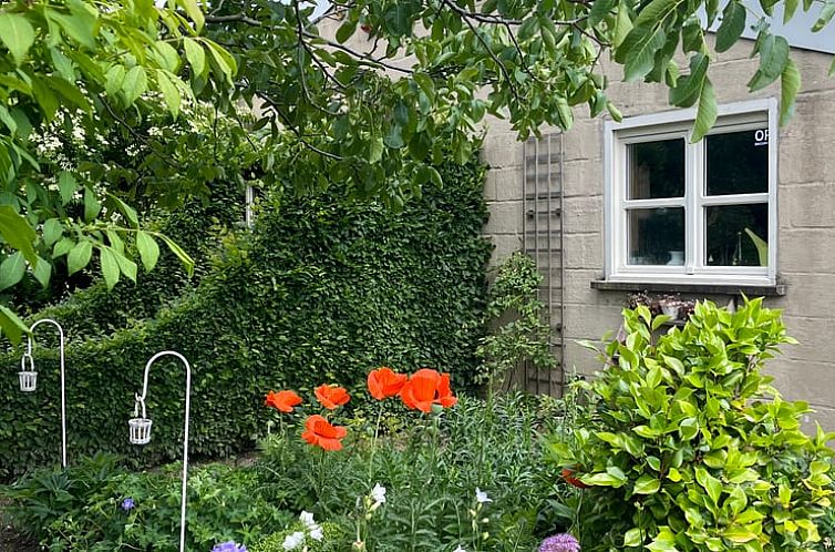 Huisje in Rijkevorsel