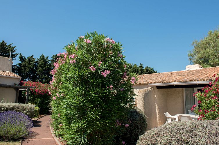 Appartement Sowell Résidence Les Lauriers Roses