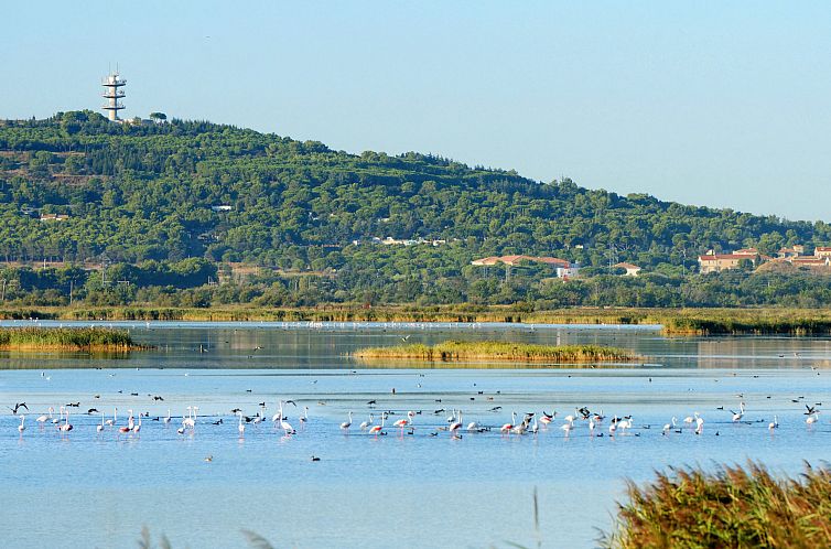 Appartement Le Génois