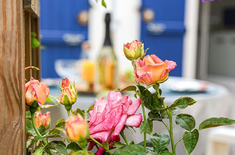 Unterkunft 04712315 - Ferienhaus Pays de la Loire - Vakantiehuis Jardin Secret