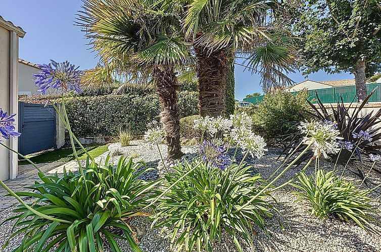 Vakantiehuis Villa Sel et Pins